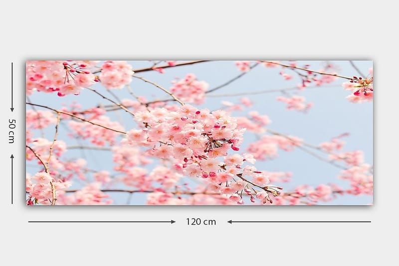 Canvastavla YTY Floral & Botanical Flerfärgad - 120x50 cm - Inredning - Tavlor & posters - Canvastavla