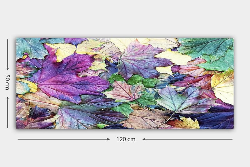 Canvastavla YTY Floral & Botanical Flerfärgad - 120x50 cm - Inredning - Tavlor & posters - Canvastavla