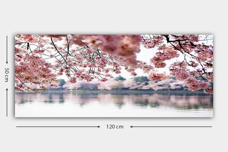 Canvastavla YTY Floral & Botanical Flerfärgad - 120x50 cm - Inredning - Tavlor & posters - Canvastavla