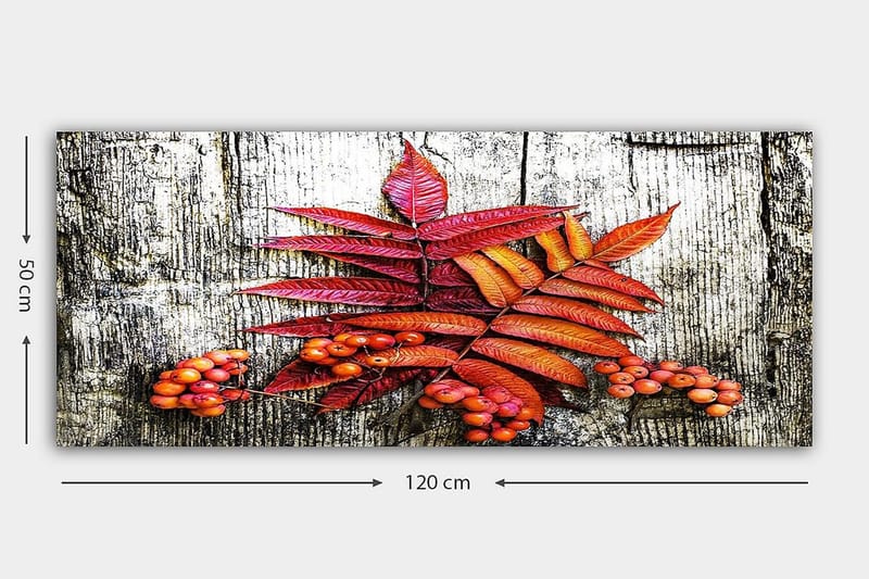 Canvastavla YTY Floral & Botanical Flerfärgad - 120x50 cm - Inredning - Tavlor & posters - Canvastavla