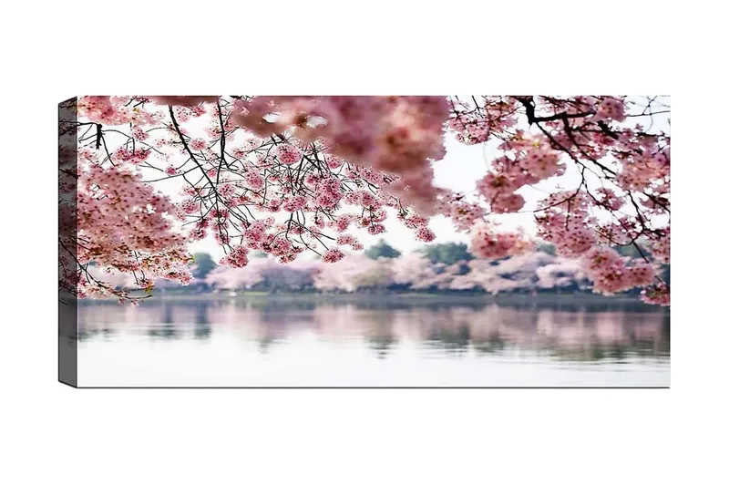 Canvastavla YTY Floral & Botanical Flerfärgad, 120x50 cm