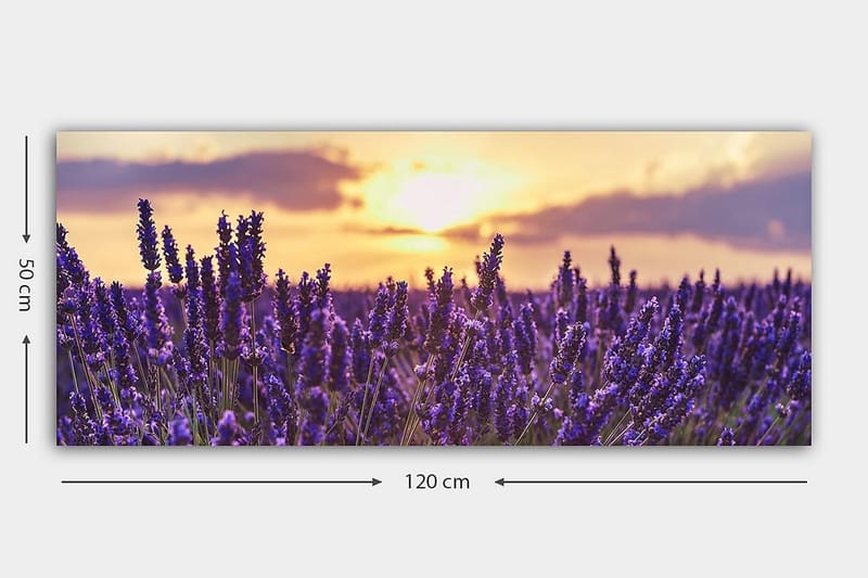 Canvastavla YTY Floral & Botanical Flerfärgad - 120x50 cm - Inredning - Tavlor & posters - Canvastavla