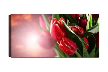 Canvastavla YTY Floral & Botanical Flerfärgad - 120x50 cm - Inredning - Tavlor & posters - Canvastavla