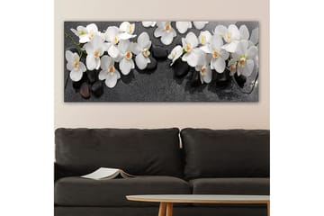 Canvastavla YTY Floral & Botanical Flerfärgad - 120x50 cm - Inredning - Tavlor & posters - Canvastavla