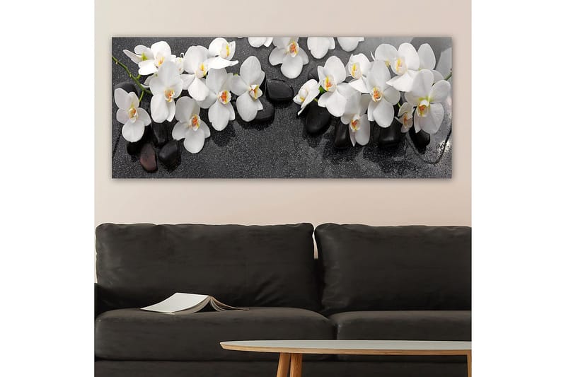 Canvastavla YTY Floral & Botanical Flerfärgad - 120x50 cm - Inredning - Tavlor & posters - Canvastavla