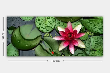 Canvastavla YTY Floral & Botanical Flerfärgad - 120x50 cm - Inredning - Tavlor & posters - Canvastavla