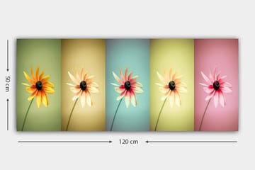 Canvastavla YTY Floral & Botanical Flerfärgad - 120x50 cm - Inredning - Tavlor & posters - Canvastavla