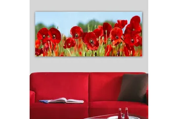 Canvastavla YTY Floral & Botanical Flerfärgad - 120x50 cm - Inredning - Tavlor & posters - Canvastavla