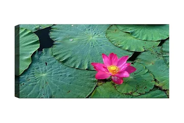 Canvastavla YTY Floral & Botanical Flerfärgad - 120x50 cm - Inredning - Tavlor & posters - Canvastavla