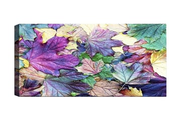 Canvastavla YTY Floral & Botanical Flerfärgad - 120x50 cm - Inredning - Tavlor & posters - Canvastavla