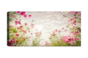 Canvastavla YTY Floral & Botanical Flerfärgad - 120x50 cm - Inredning - Tavlor & posters - Canvastavla