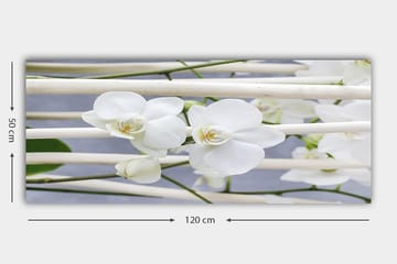Canvastavla YTY Floral & Botanical Flerfärgad - 120x50 cm - Inredning - Tavlor & posters - Canvastavla
