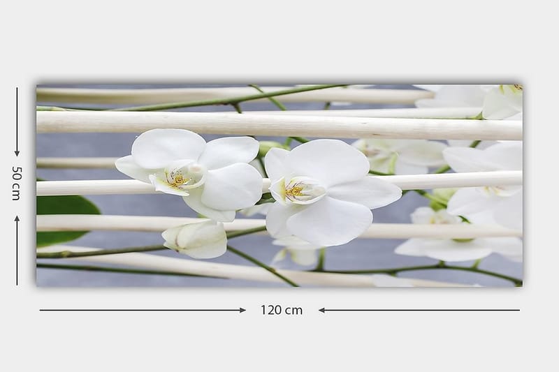 Canvastavla YTY Floral & Botanical Flerfärgad - 120x50 cm - Inredning - Tavlor & posters - Canvastavla