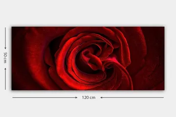 Canvastavla YTY Floral & Botanical Flerfärgad - 120x50 cm - Inredning - Tavlor & posters - Canvastavla