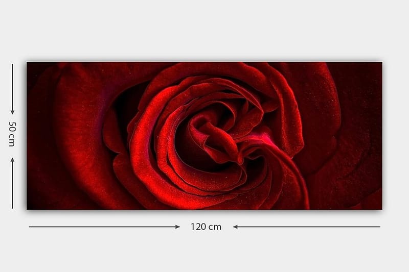 Canvastavla YTY Floral & Botanical Flerfärgad - 120x50 cm - Inredning - Tavlor & posters - Canvastavla