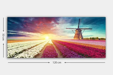 Canvastavla YTY Floral & Botanical Flerfärgad - 120x50 cm - Inredning - Tavlor & posters - Canvastavla