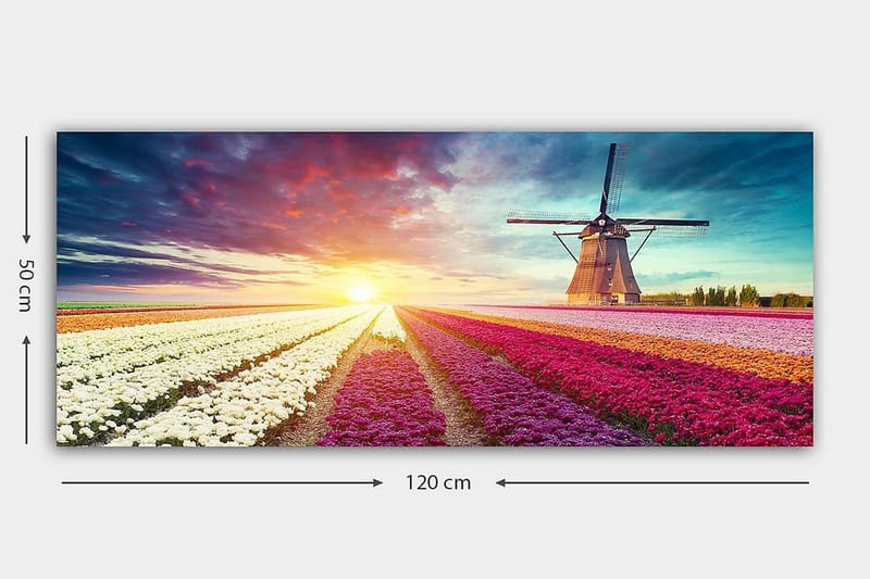 Canvastavla YTY Floral & Botanical Flerfärgad - 120x50 cm - Inredning - Tavlor & posters - Canvastavla