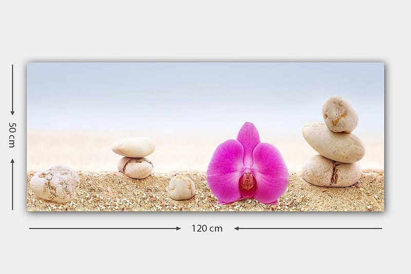 Canvastavla YTY Floral & Botanical Flerfärgad - 120x50 cm - Inredning - Tavlor & posters - Canvastavla