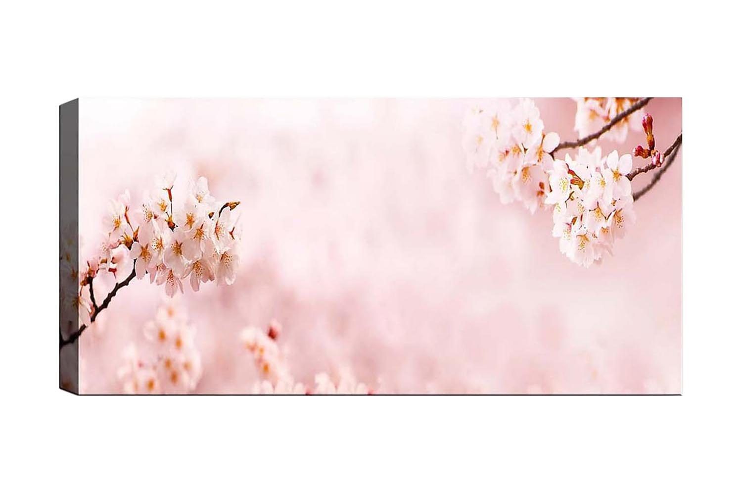Canvastavla YTY Floral & Botanical Flerfärgad - 120x50 cm