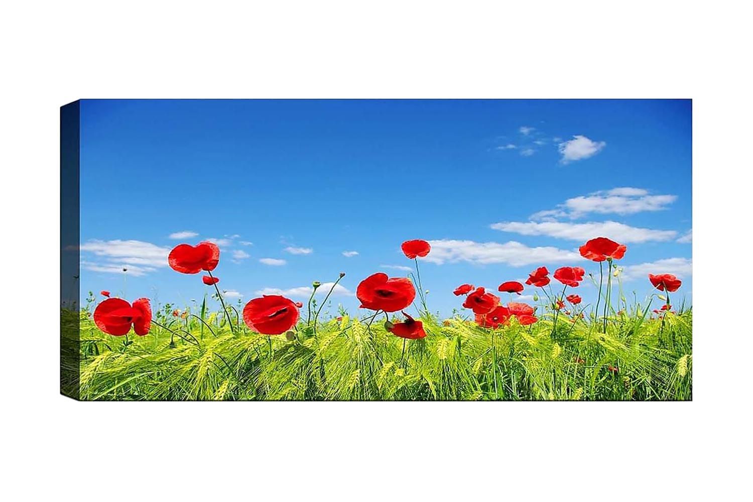 Canvastavla YTY Floral & Botanical Flerfärgad - 120x50 cm