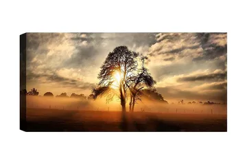 Canvastavla YTY Landscape & Nature Flerfärgad - 120x50 cm - Inredning - Tavlor & posters - Canvastavla