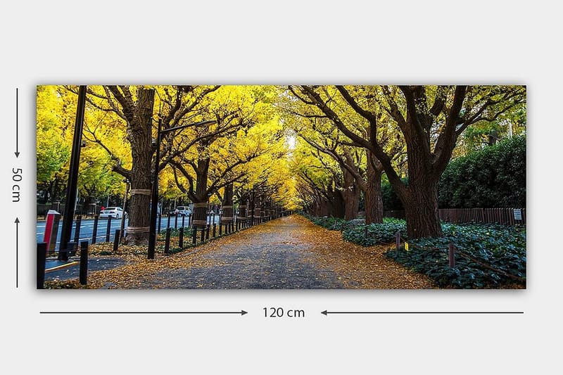 Canvastavla YTY Landscape & Nature Flerfärgad - 120x50 cm - Inredning - Tavlor & posters - Canvastavla