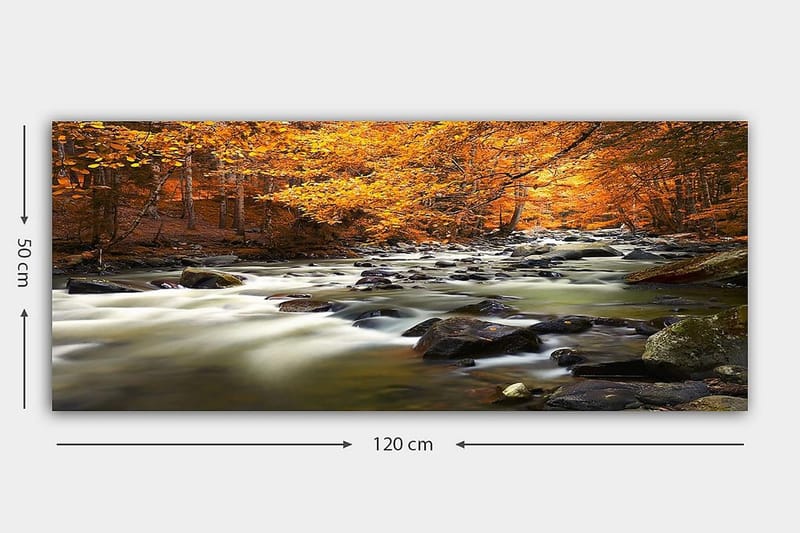 Canvastavla YTY Landscape & Nature Flerfärgad - 120x50 cm - Inredning - Tavlor & posters - Canvastavla
