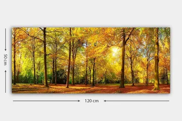 Canvastavla YTY Landscape & Nature Flerfärgad - 120x50 cm - Inredning - Tavlor & posters - Canvastavla