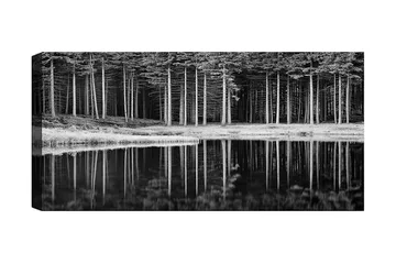 Canvastavla YTY Landscape & Nature Flerfärgad - 120x50 cm - Inredning - Tavlor & posters - Canvastavla