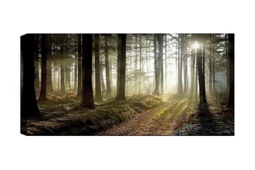 Canvastavla YTY Landscape & Nature Flerfärgad - 120x50 cm - Inredning - Tavlor & posters - Canvastavla