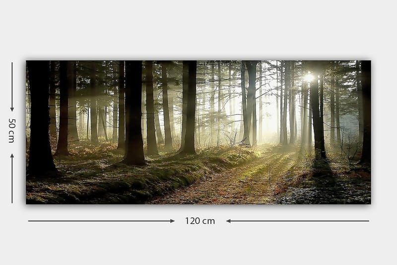 Canvastavla YTY Landscape & Nature Flerfärgad - 120x50 cm - Inredning - Tavlor & posters - Canvastavla