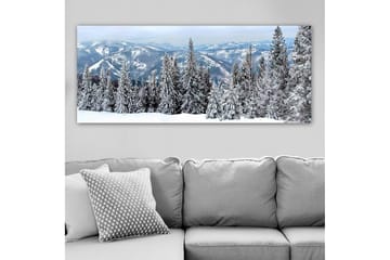 Canvastavla YTY Landscape & Nature Flerfärgad - 120x50 cm - Inredning - Tavlor & posters - Canvastavla