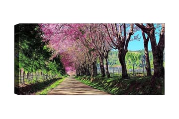 Canvastavla YTY Landscape & Nature Flerfärgad - 120x50 cm - Inredning - Tavlor & posters - Canvastavla