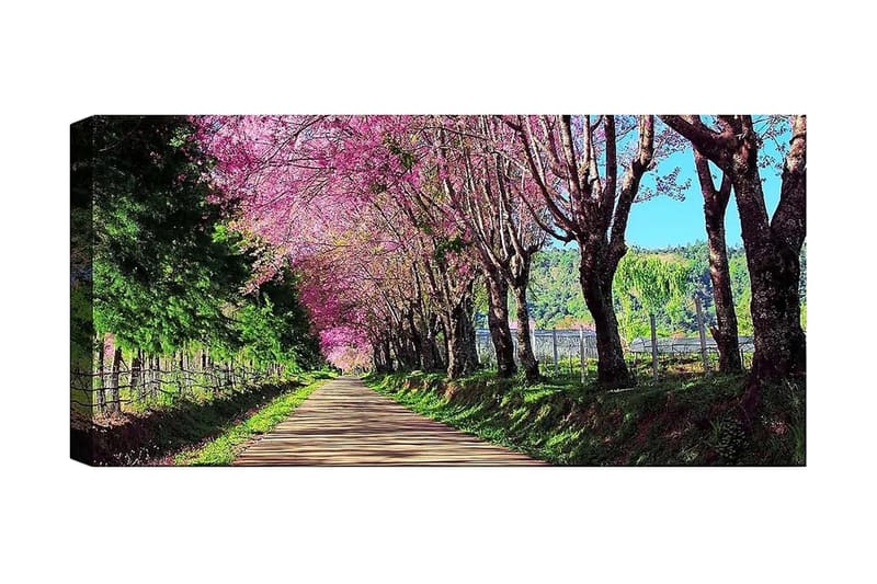 Canvastavla YTY Landscape & Nature Flerfärgad - 120x50 cm - Inredning - Tavlor & posters - Canvastavla