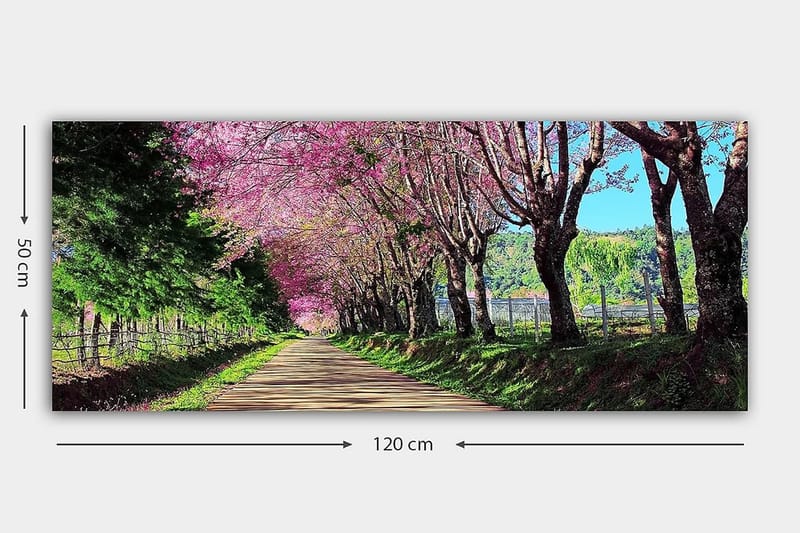 Canvastavla YTY Landscape & Nature Flerfärgad - 120x50 cm - Inredning - Tavlor & posters - Canvastavla