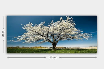 Canvastavla YTY Landscape & Nature Flerfärgad - 120x50 cm - Inredning - Tavlor & posters - Canvastavla