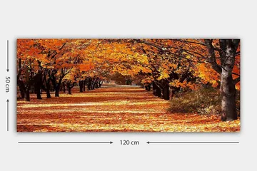 Canvastavla YTY Landscape & Nature Flerfärgad - 120x50 cm - Inredning - Tavlor & posters - Canvastavla