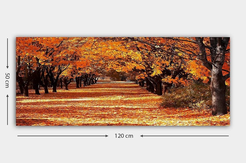 Canvastavla YTY Landscape & Nature Flerfärgad - 120x50 cm - Inredning - Tavlor & posters - Canvastavla