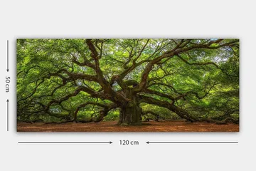 Canvastavla YTY Landscape & Nature Flerfärgad - 120x50 cm - Inredning - Tavlor & posters - Canvastavla