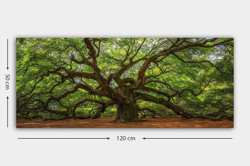 Canvastavla YTY Landscape & Nature Flerfärgad - 120x50 cm - Inredning - Tavlor & posters - Canvastavla