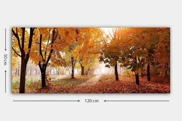 Canvastavla YTY Landscape & Nature Flerfärgad - 120x50 cm - Inredning - Tavlor & posters - Canvastavla