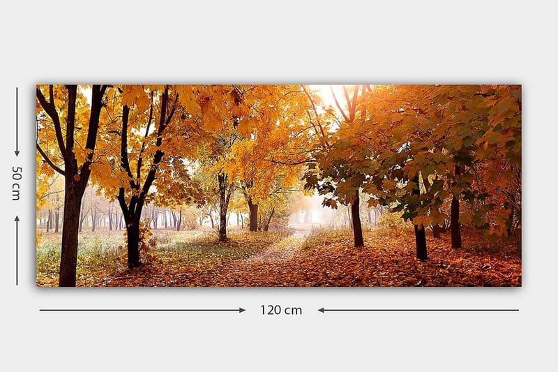 Canvastavla YTY Landscape & Nature Flerfärgad - 120x50 cm - Inredning - Tavlor & posters - Canvastavla