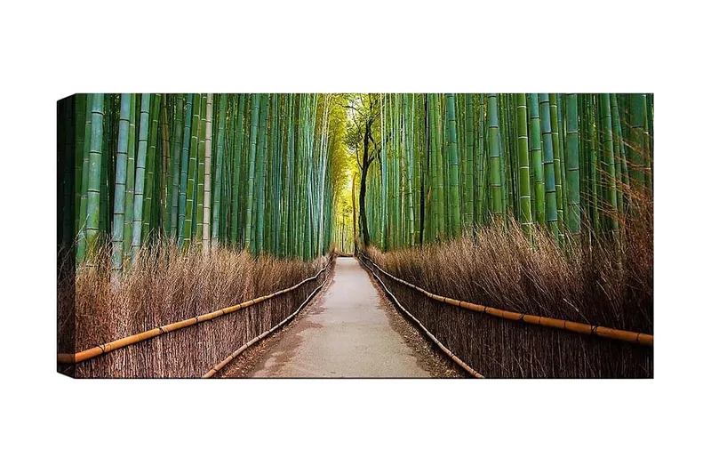 Canvastavla YTY Landscape & Nature Flerfärgad, 120x50 cm