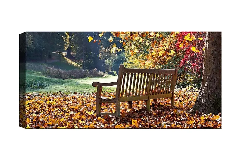 Canvastavla YTY Landscape & Nature Flerfärgad, 120x50 cm