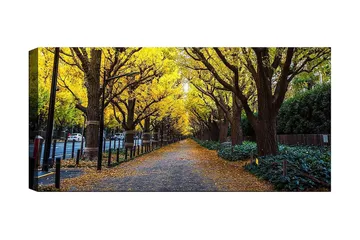 Canvastavla YTY Landscape & Nature Flerfärgad - 120x50 cm - Inredning - Tavlor & posters - Canvastavla