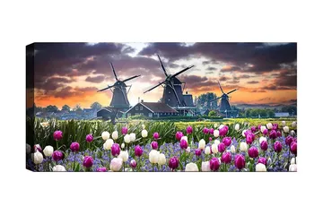 Canvastavla YTY Landscape & Nature Flerfärgad - 120x50 cm - Inredning - Tavlor & posters - Canvastavla