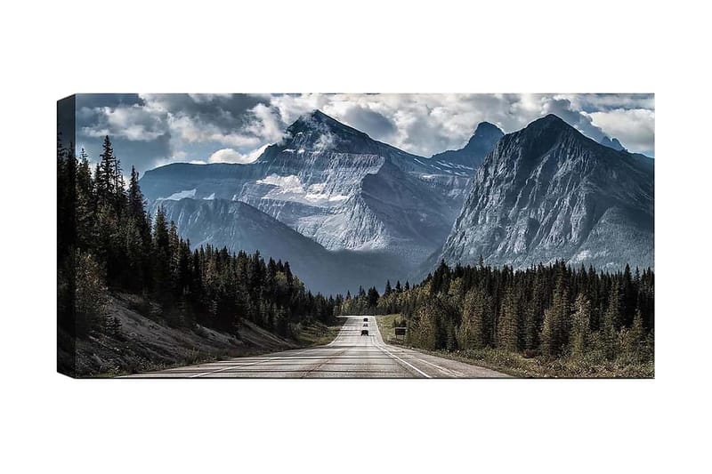 Canvastavla YTY Landscape & Nature Flerfärgad, 120x50 cm