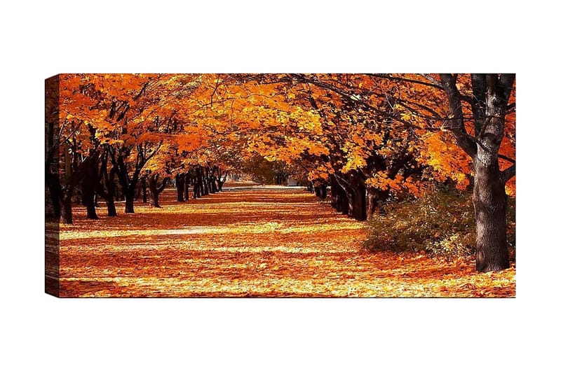 Canvastavla YTY Landscape & Nature Flerfärgad, 120x50 cm