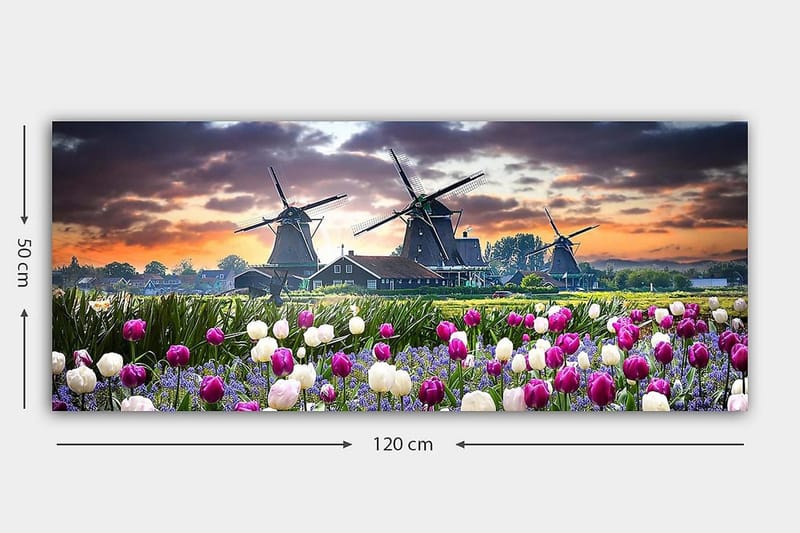 Canvastavla YTY Landscape & Nature Flerfärgad - 120x50 cm - Inredning - Tavlor & posters - Canvastavla