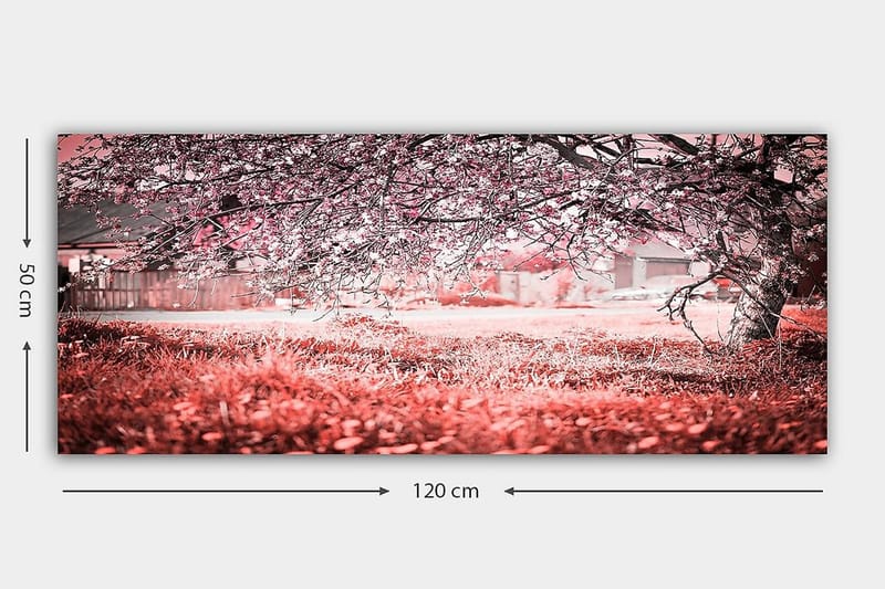 Canvastavla YTY Landscape & Nature Flerfärgad - 120x50 cm - Inredning - Tavlor & posters - Canvastavla